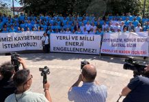 Erçelik: “Enerji Üretimi Durursa Bölgenin Ekonomik Dengesi Sarsılır”