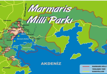 Başkan Aras’tan Milli Parklar Kanunu’na Yönelik Uyarı