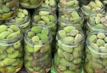 Datça Bademi Turşusu